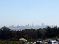 SF, USA
