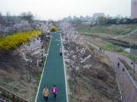 Seoul Workplace