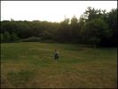 Wycliffe Park