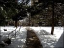 March 17th 2006, Snow in Toronto
