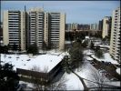 March 17th 2006, Snow in Toronto